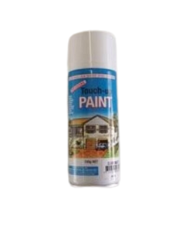 TOUCH UP PAINT - SURFMIST